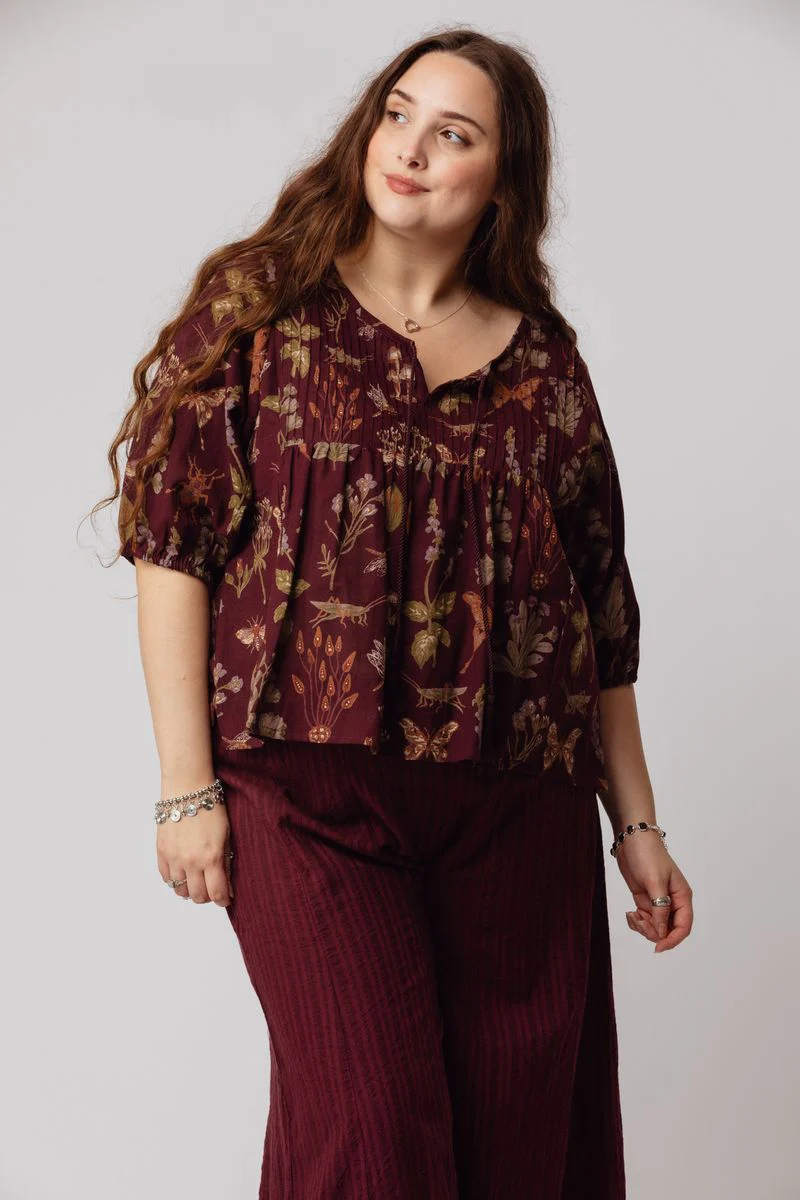 Jayanti Top