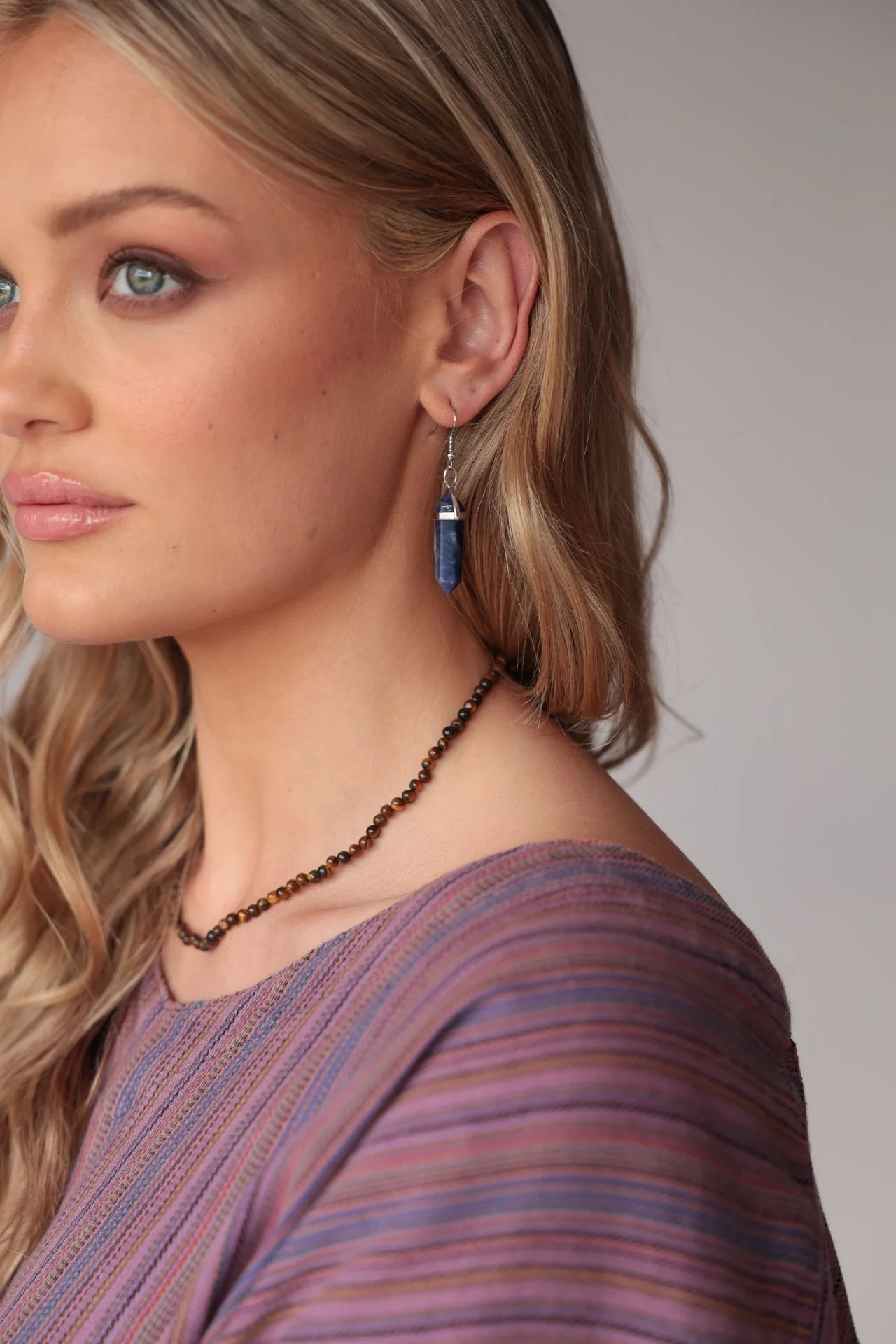 Sodalite Earrings