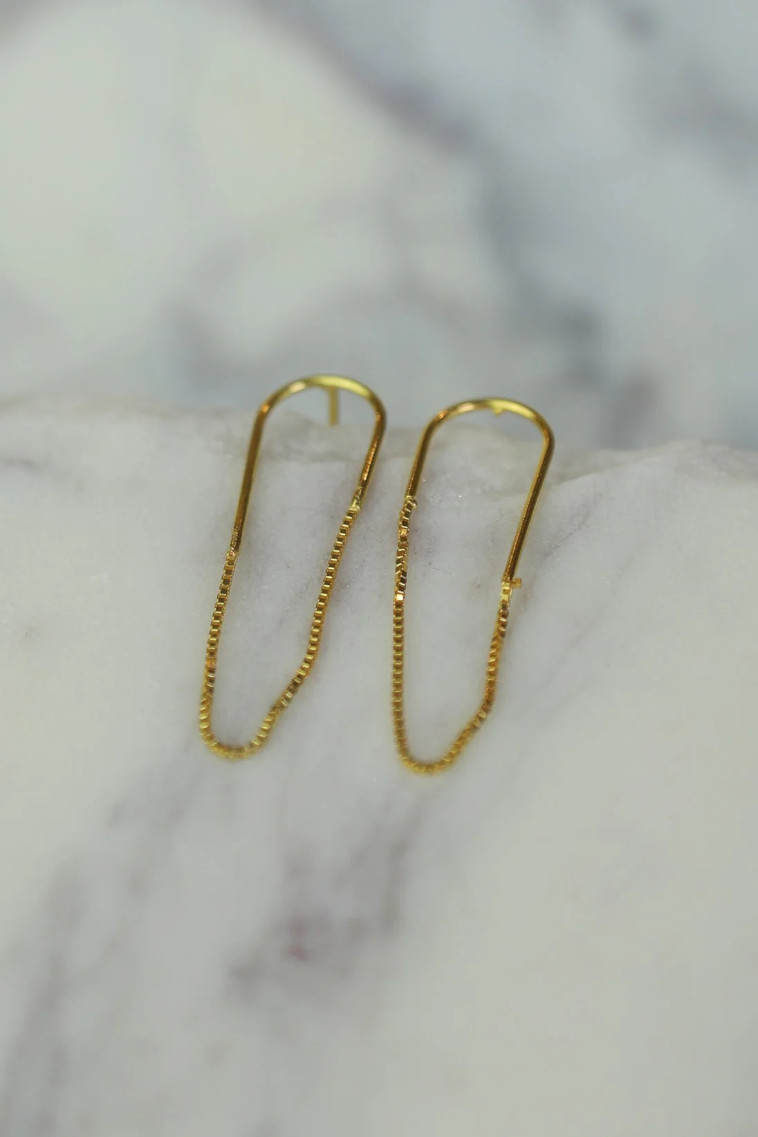 Gold Roxie Chain and Hook Earrings