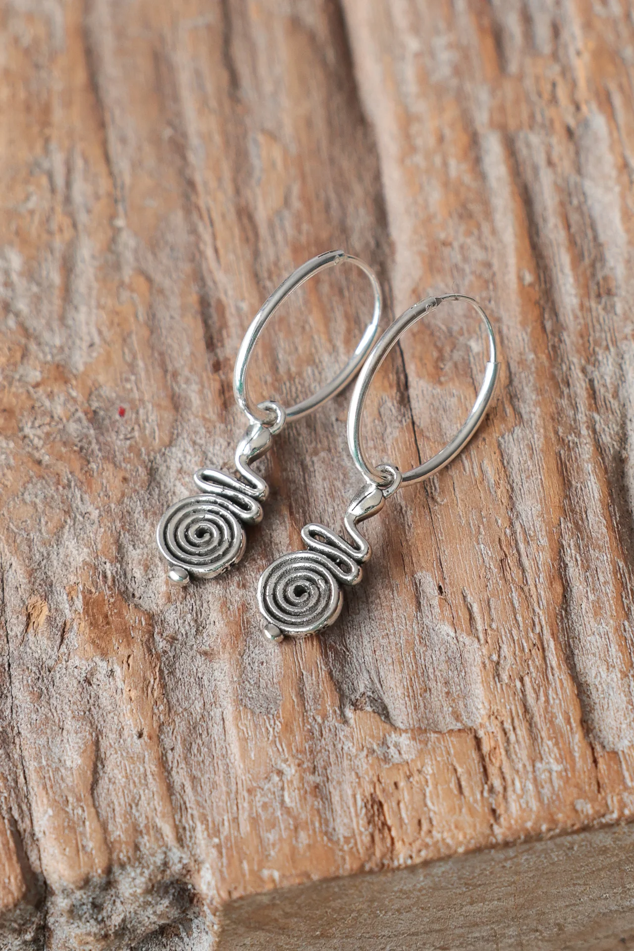 Spiral of Life Earrings