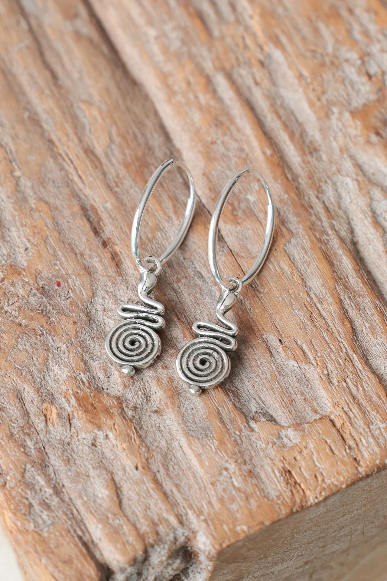 Spiral of Life Earrings - Image 2