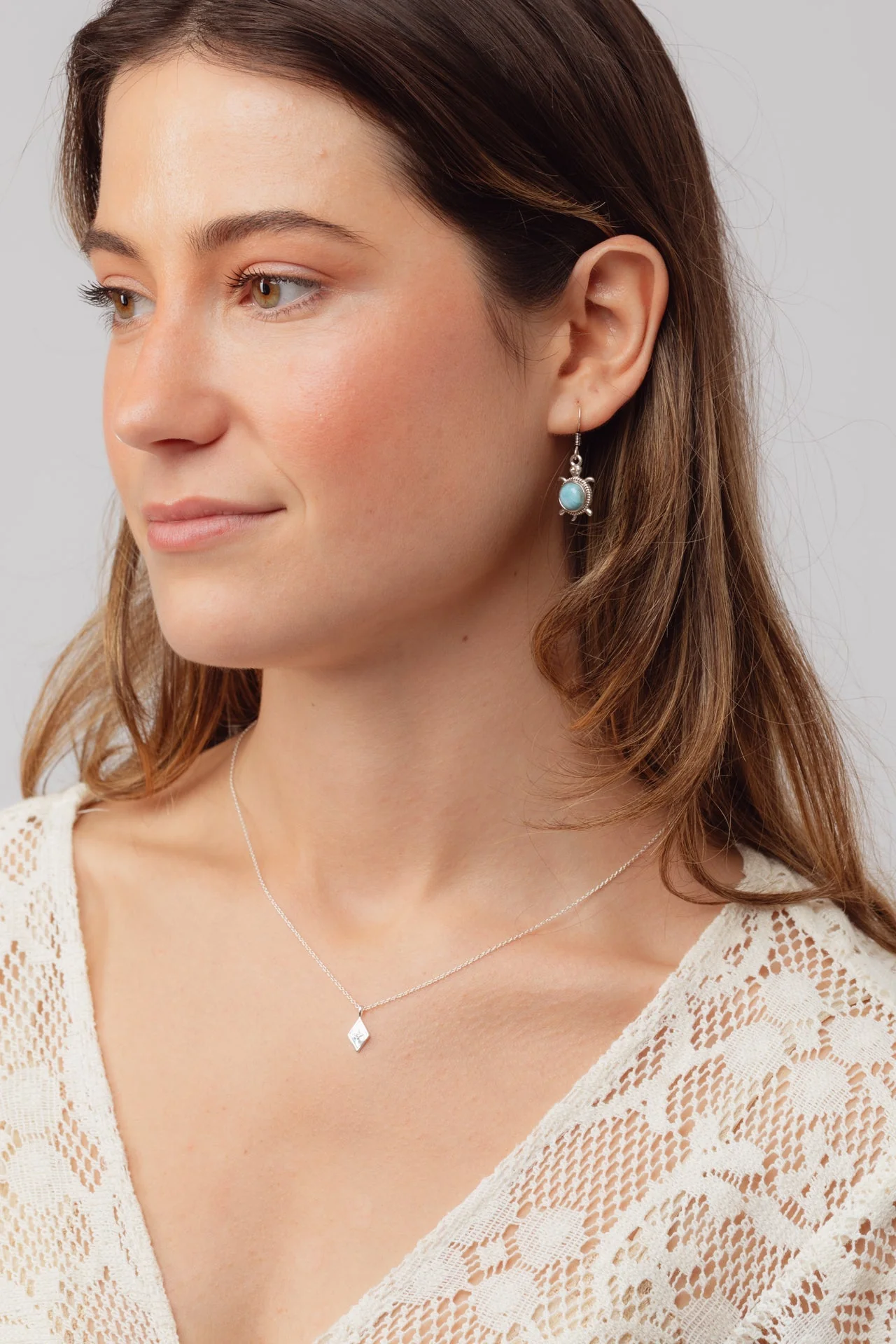 Round Turtle Larimar Earrings - Image 2