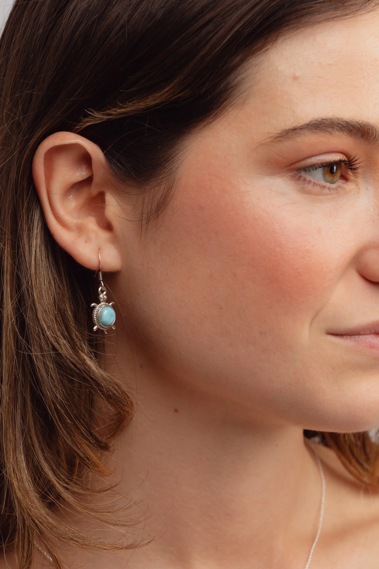 Round Turtle Larimar Earrings - Image 3