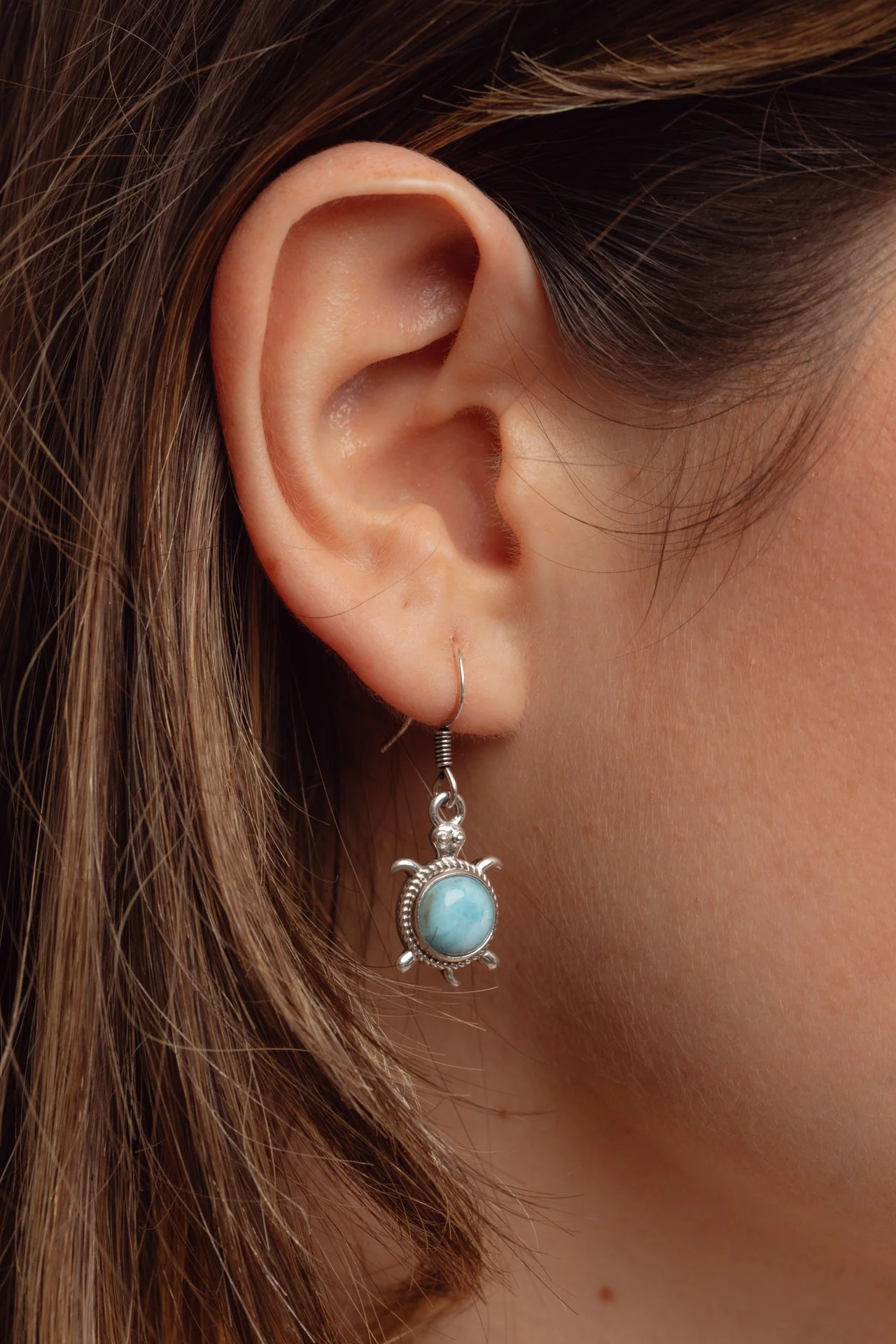 Round Turtle Larimar Earrings - Image 4