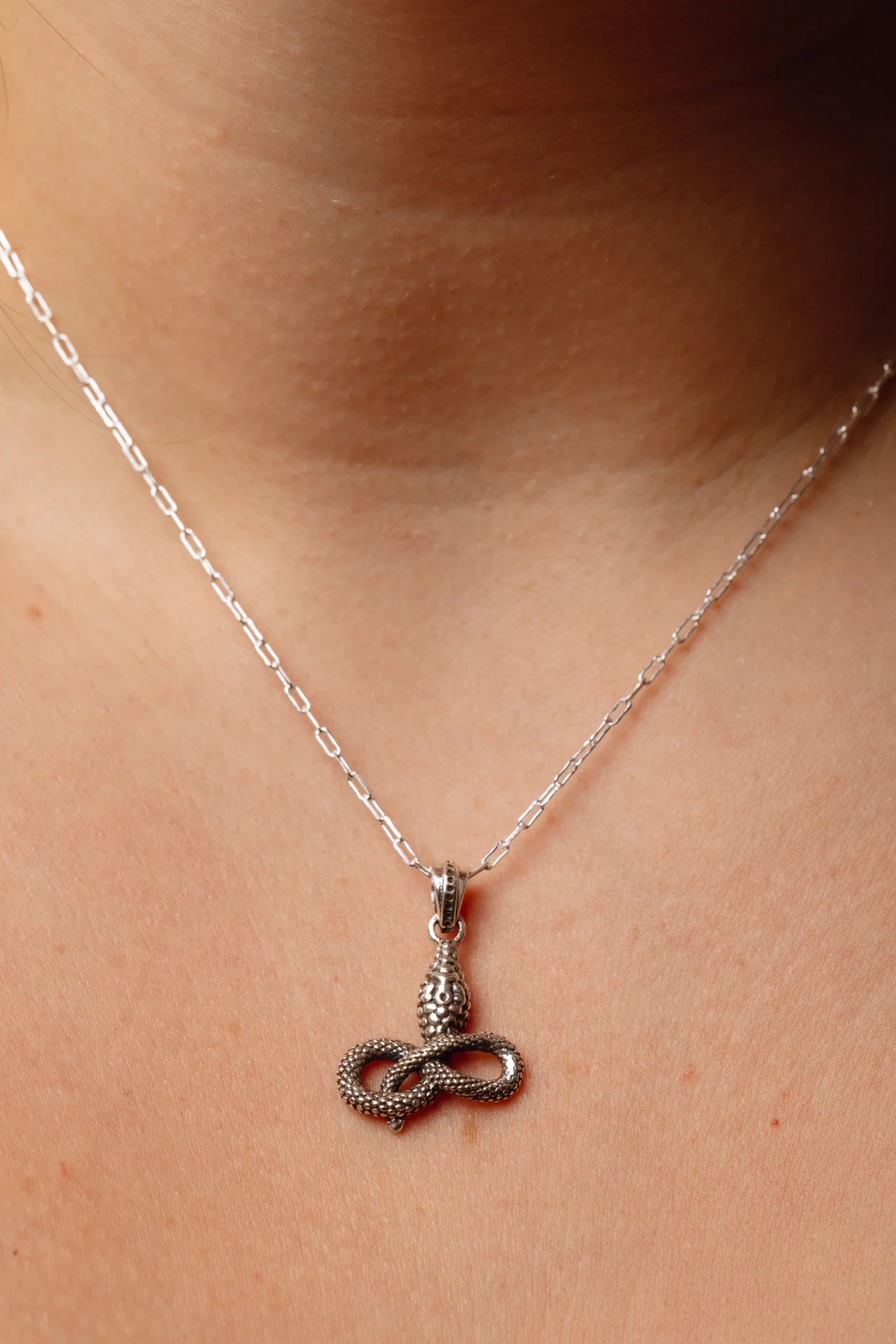 Eternal Snake Pendant