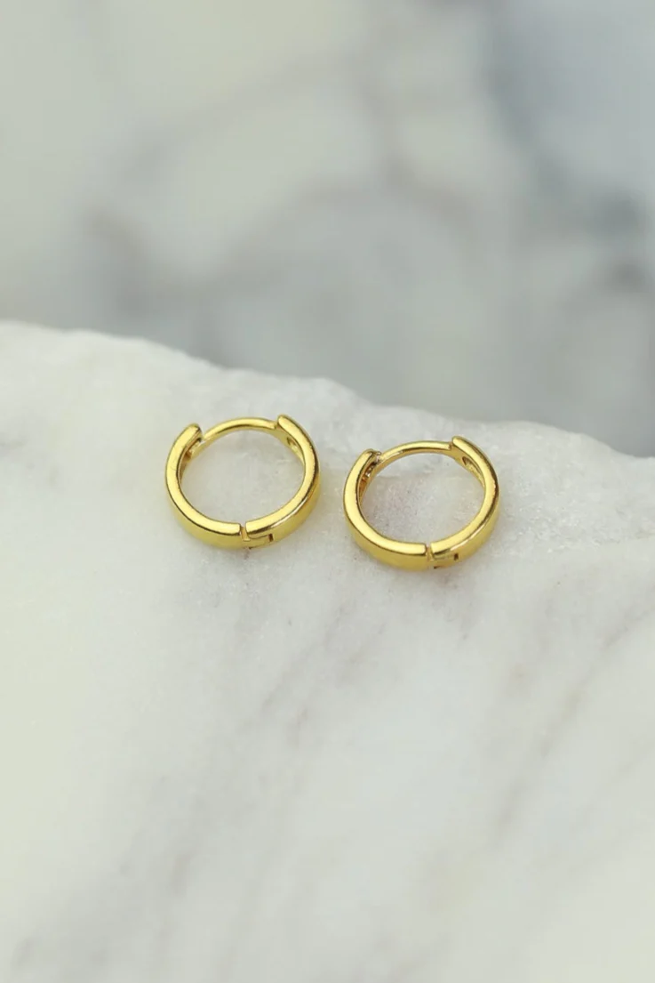 Small Gold Hoops